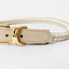 Rolled Collar - Your Pet Connection