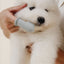 Puppy Breath Toothbrush - Your Pet Connection