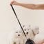 Stay In Place Leash - Your Pet Connection