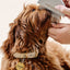 Pup Parent Essentials - Your Pet Connection