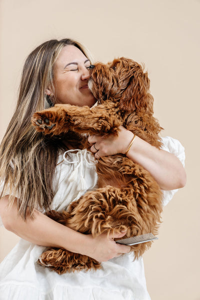 Ultimate Dog Grooming Kit - Your Pet Connection