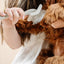 Everyday Slicker Brush - Your Pet Connection