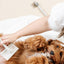 Pup Parent Essentials - Your Pet Connection