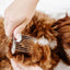 Pup Parent Essentials - Your Pet Connection