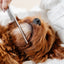 Everyday Comb - Your Pet Connection