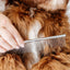 Pup Parent Essentials - Your Pet Connection