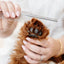 Everyday Comb - Your Pet Connection