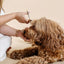Ultimate Dog Grooming Kit - Your Pet Connection