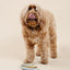 Happy Feelings Lick Mat - Your Pet Connection