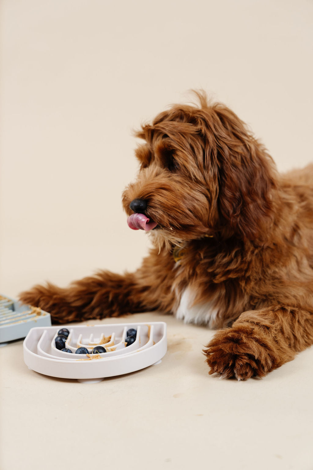 Happy Feelings Lick Mat - Your Pet Connection