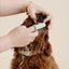 Puppy Breath Toothbrush - Your Pet Connection