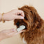 Puppy Breath Toothbrush - Your Pet Connection