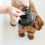Stay In Place Leash - Your Pet Connection