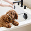 Stay In Place Leash - Your Pet Connection