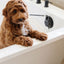Stay In Place Leash - Your Pet Connection