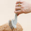 Everyday Slicker Brush - Your Pet Connection
