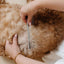 Pup Parent Essentials - Your Pet Connection