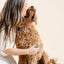 Everyday Comb - Your Pet Connection