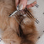The Detangler - Your Pet Connection