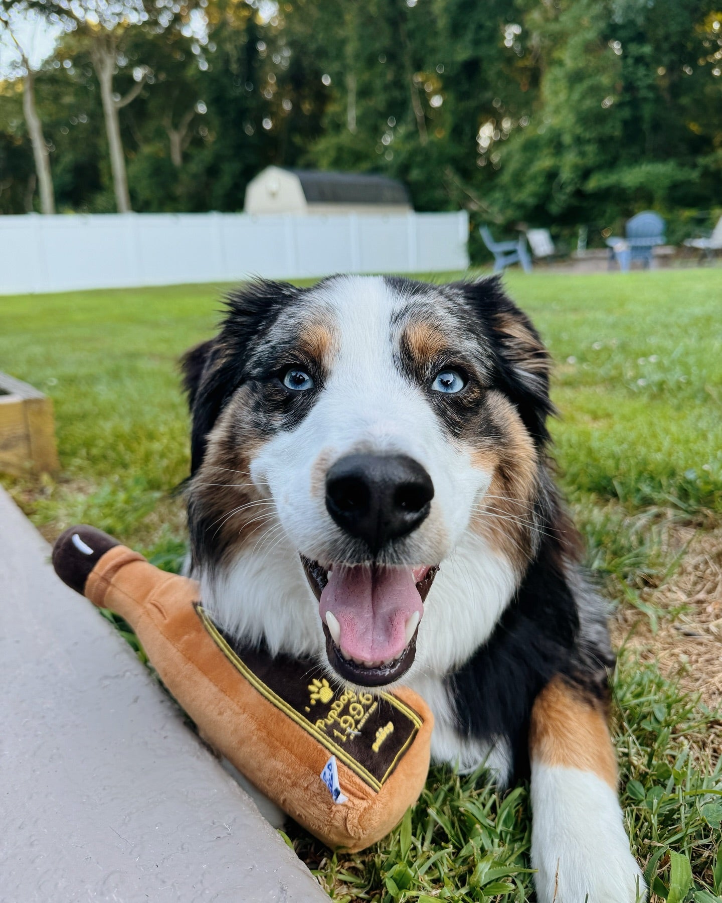 1996 TEQUILA PLUSH DOG TOY - Your Pet Connection