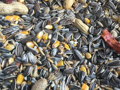 Supreme Blend Parakeet 50 Lb