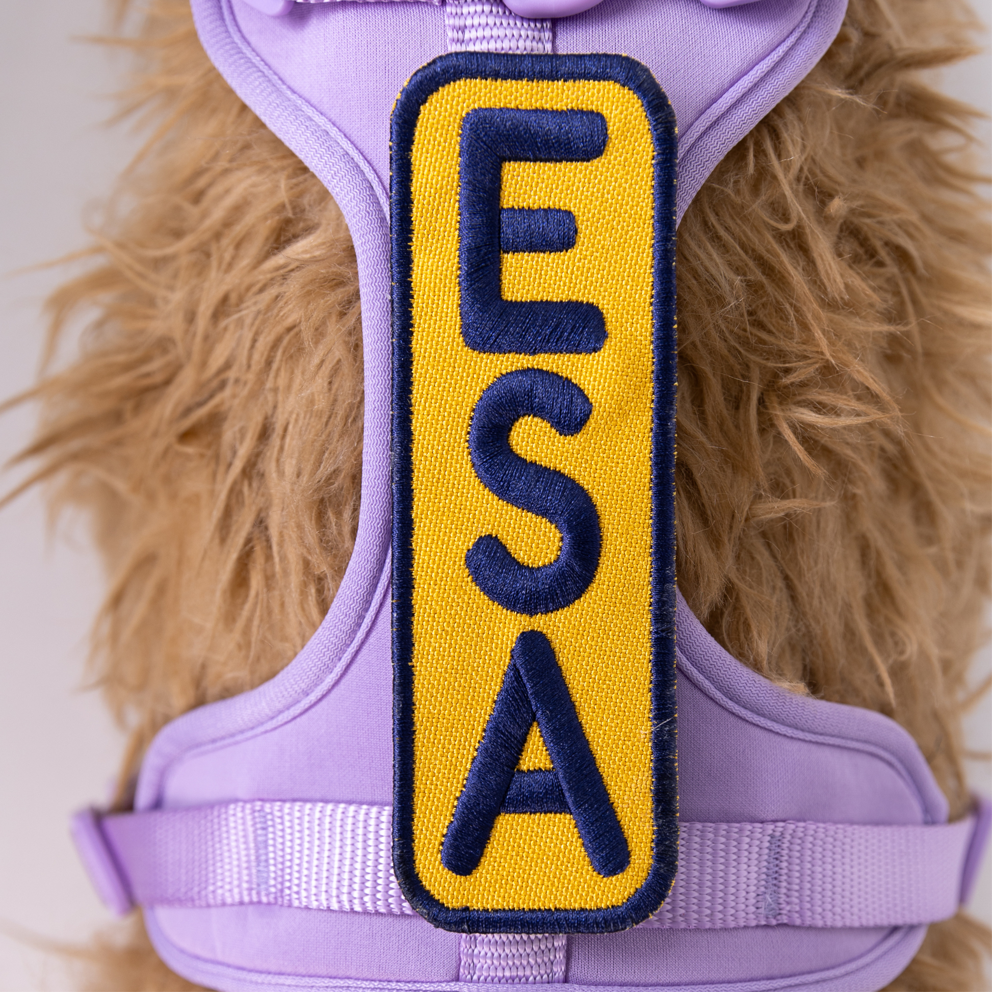 ESA 2x6 Patch - Your Pet Connection
