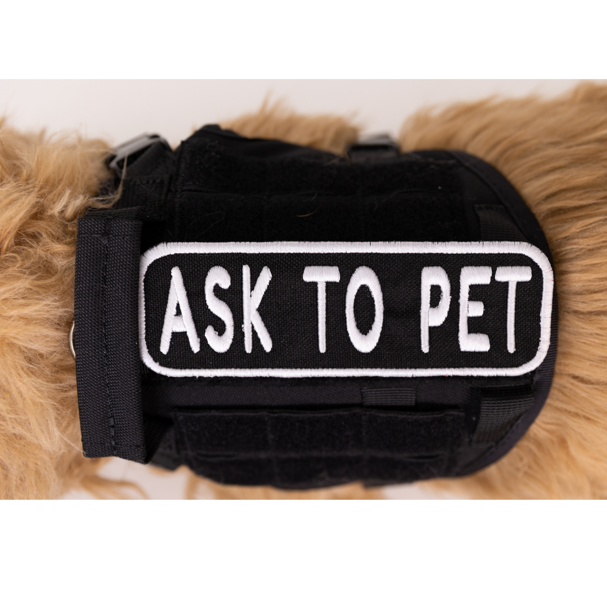 Ask to Pet 2x6 Patch - Your Pet Connection