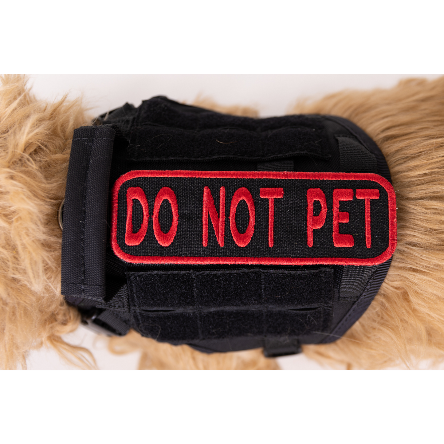Do Not Pet 2x6 Patch - Your Pet Connection