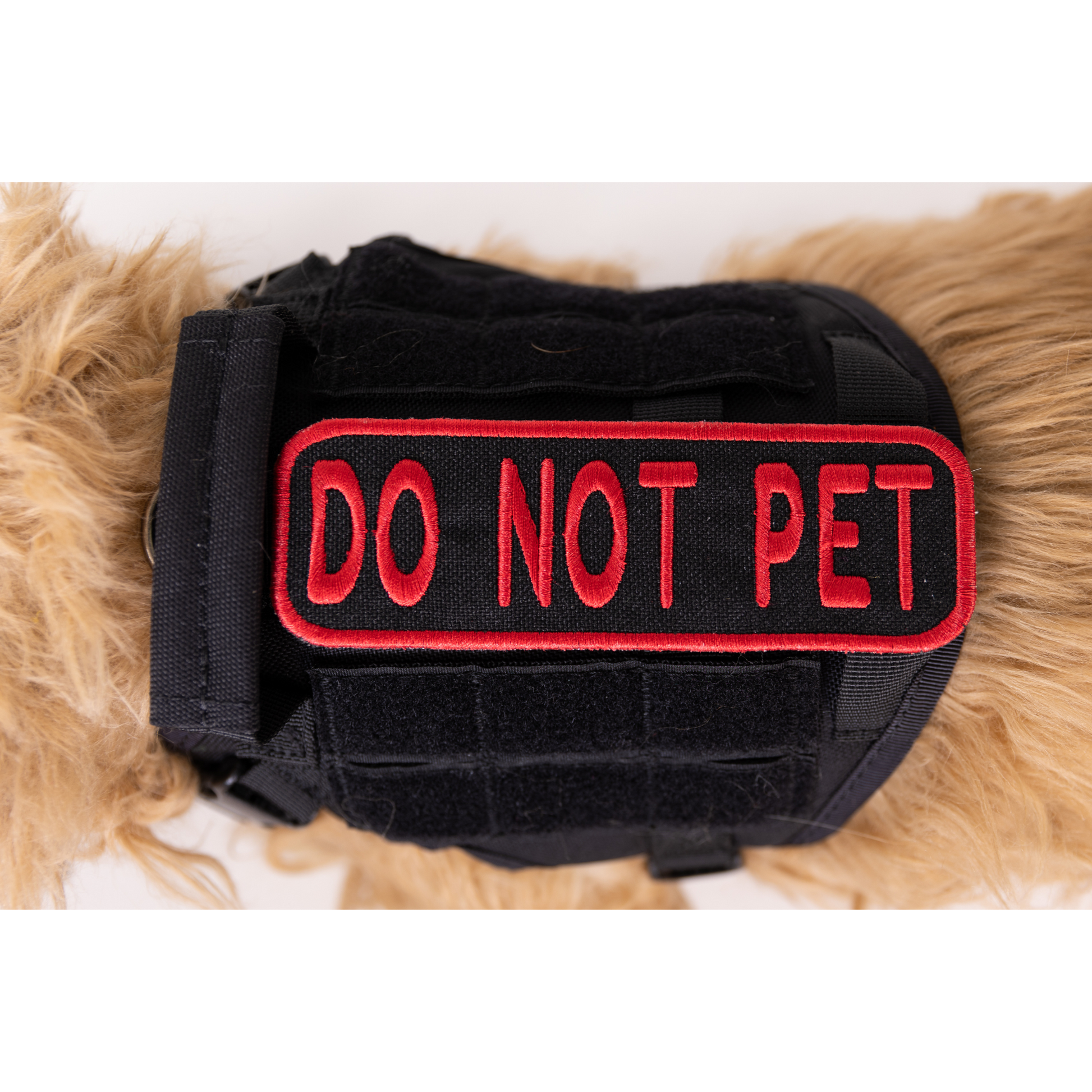 Do Not Pet 2x6 Patch - Your Pet Connection