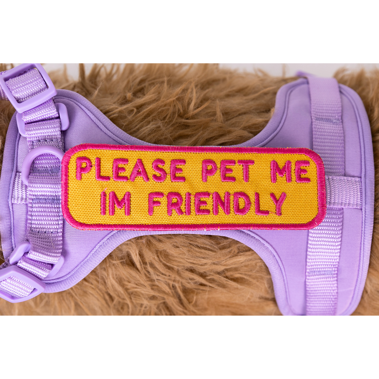 Please Pet Me Patch - Your Pet Connection