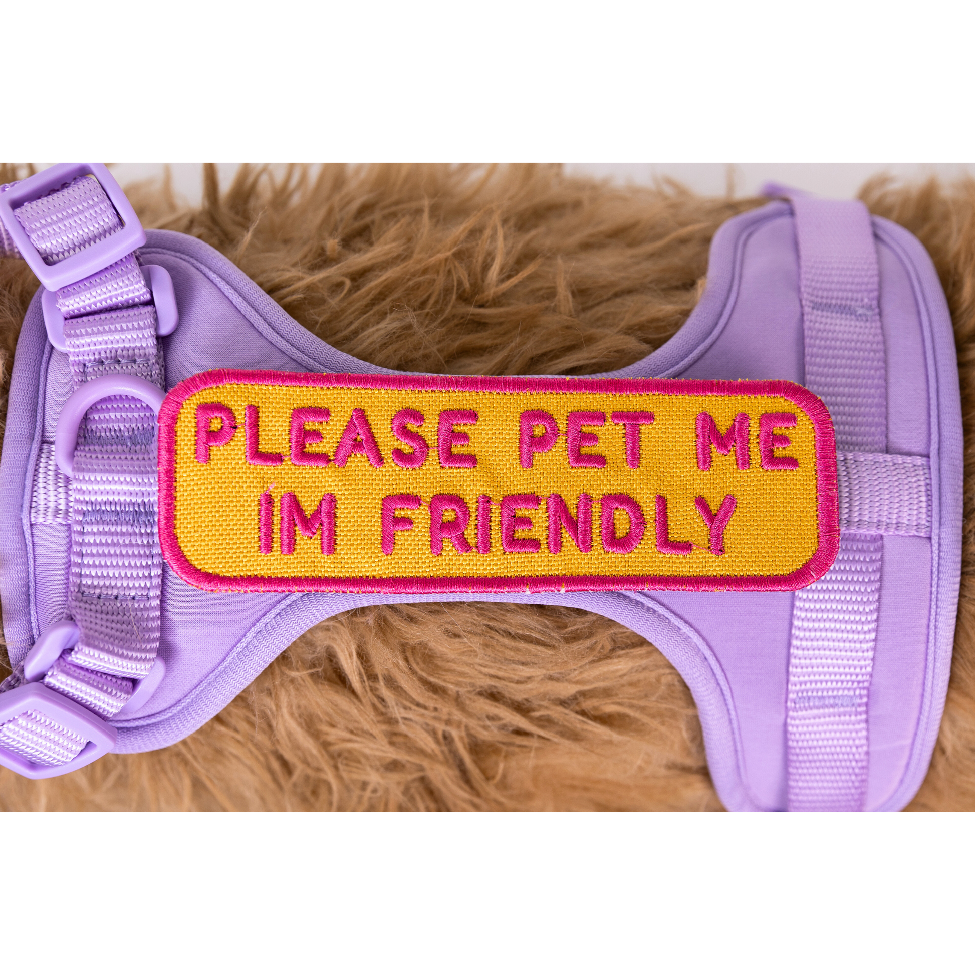 Please Pet Me Patch - Your Pet Connection