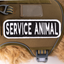 Service Animal 2x6 Patch - Your Pet Connection
