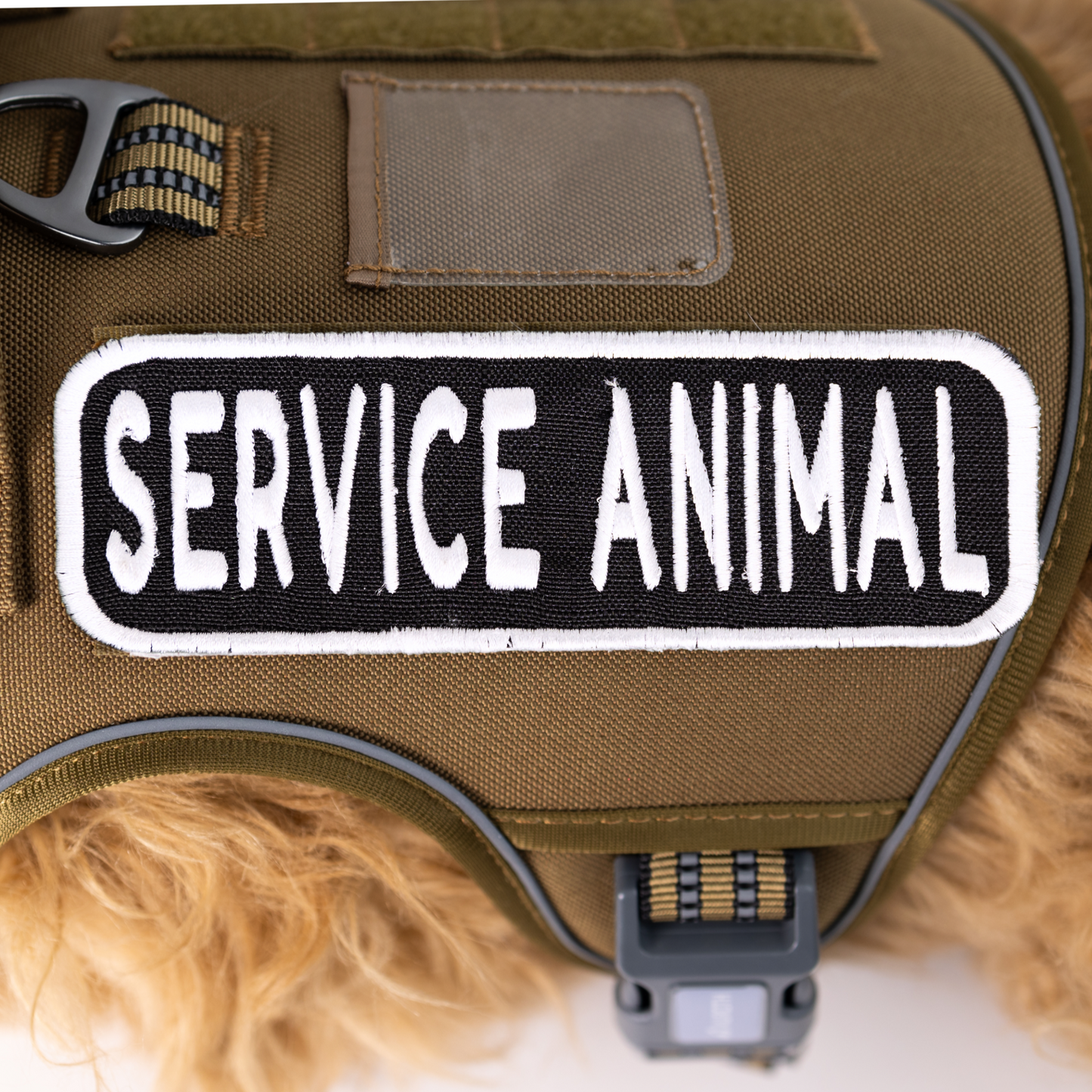 Service Animal 2x6 Patch - Your Pet Connection