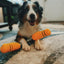 NUNCHUCKS TUG ROPE INTERACTIVE TOY - Your Pet Connection