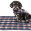 Touchdog ® 2-In-1 Tartan Plaid Dog Jacket and Matching Reversible Dog Mat