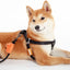 Touchdog ® 'Macaron' 2-in-1 Durable Nylon Dog Harness and Leash