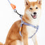 Touchdog ® 'Macaron' 2-in-1 Durable Nylon Dog Harness and Leash