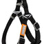 Touchdog ® 'Macaron' 2-in-1 Durable Nylon Dog Harness and Leash