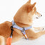 Touchdog ® 'Macaron' 2-in-1 Durable Nylon Dog Harness and Leash
