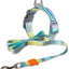 Touchdog ®'Trendzy' 2-in-1 Matching Fashion Designer Printed Dog Leash and Collar