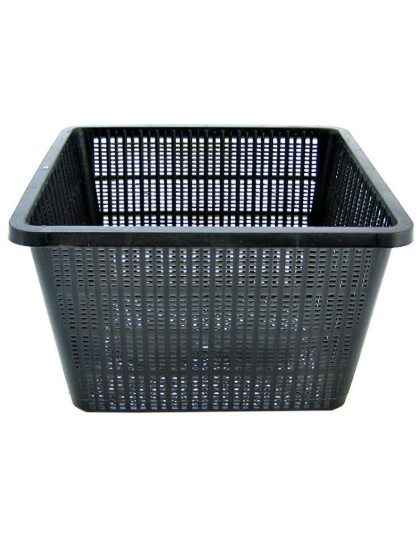 Beckett Square Plant Pond Basket - 1 count