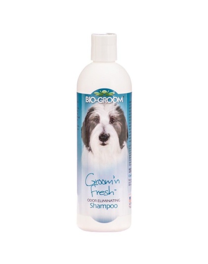 Bio Groom Groom N Fresh Shampoo - 12 oz