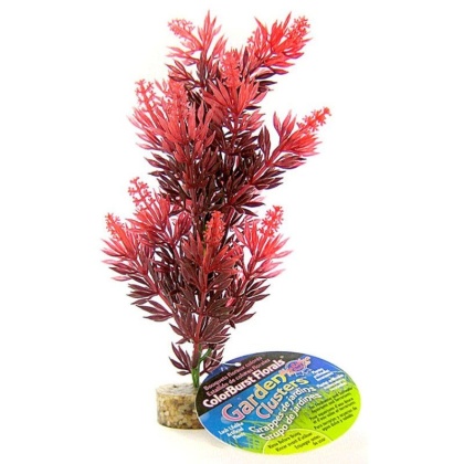 Blue Ribbon Bush Plant with Gravel Base - Red - 8" Tall