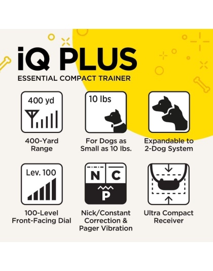 IQ Plus Additional Receiver Orange Strap