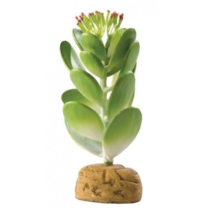 Exo-Terra Desert Jade Cactus Terrarium Plant - 1 Pack