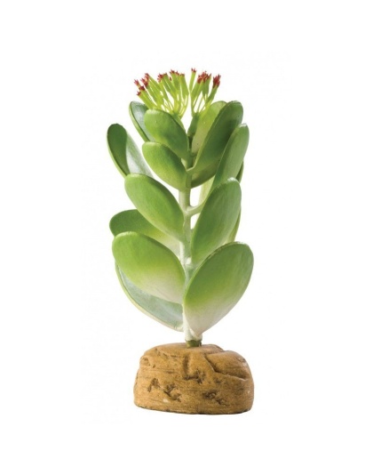 Exo-Terra Desert Jade Cactus Terrarium Plant - 1 Pack