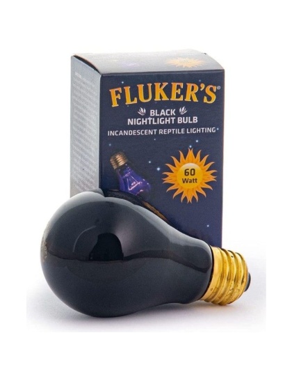 Flukers Black Nightlight Incandescent Bulb - 60 Watt