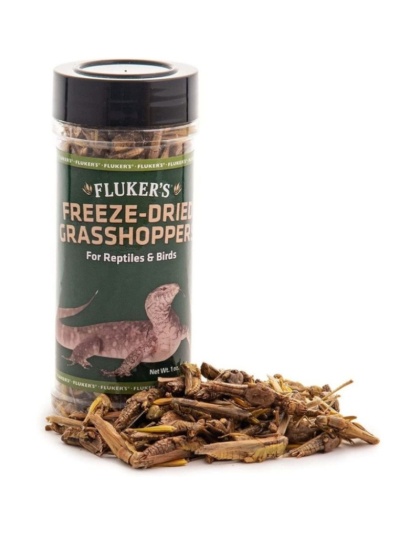 Flukers Freeze-Dried Grasshoppers - 1 oz