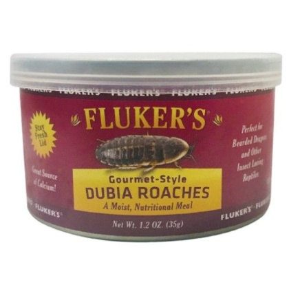 Flukers Gourmet Style Dubia Roaches - 1.2 oz