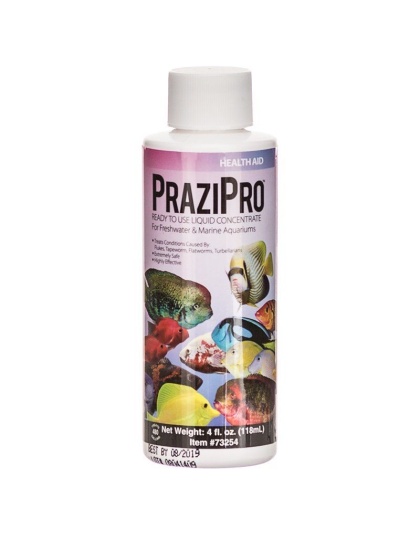 Hikari Aquarium Solutions PraziPro - 4 oz